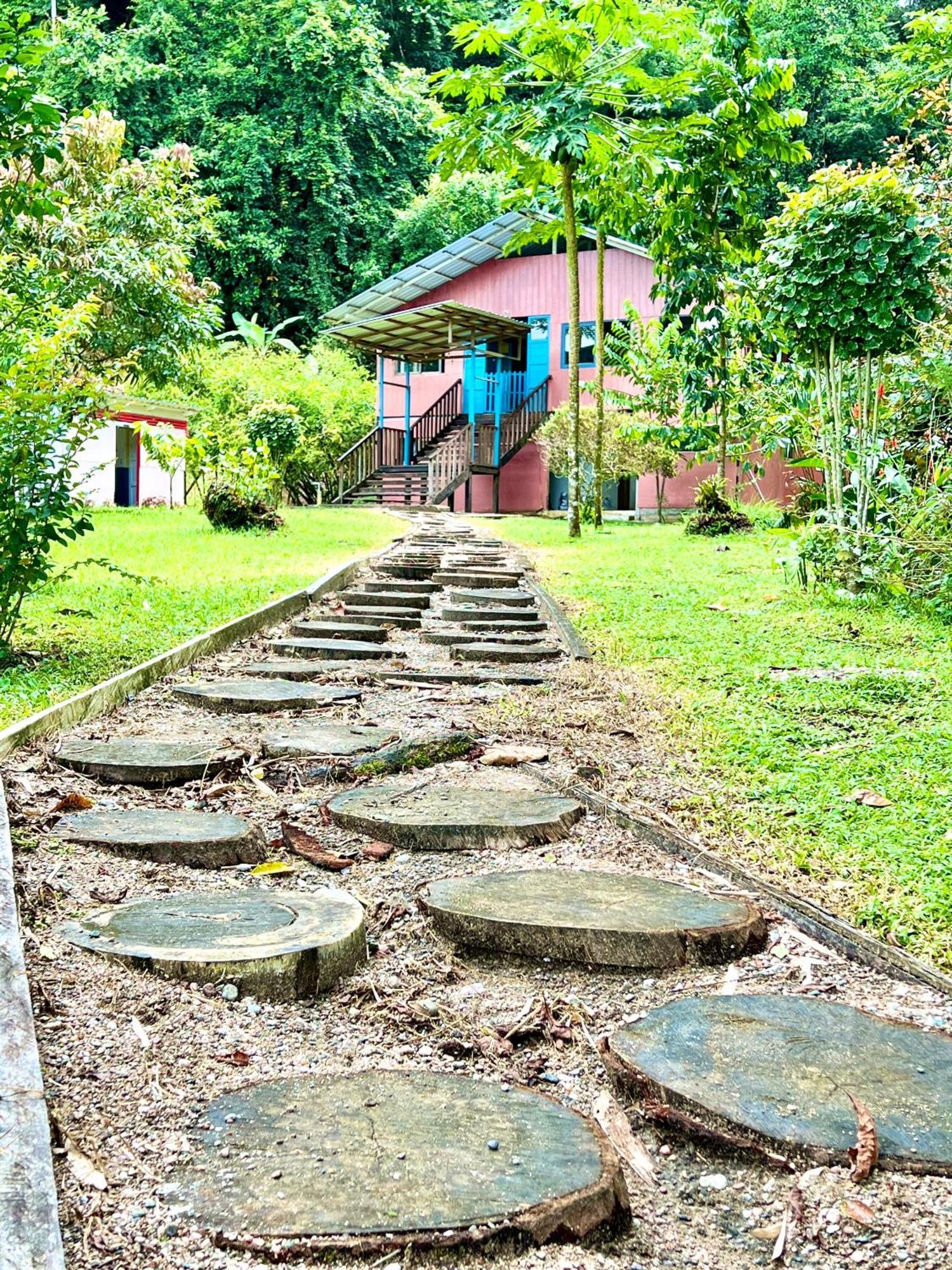 Choibana Ecolodge Bahia Solano Extérieur photo